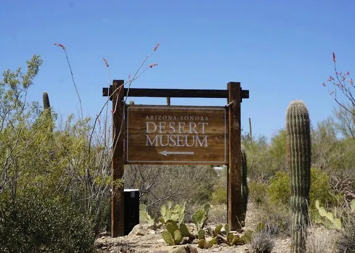 Apartment Cozy Flat Next To U Of A + Yard, Parking & Bbq!